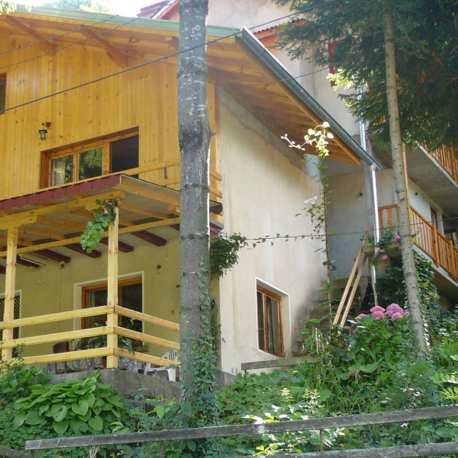 Mountain Sun Guest House ชิฟลิค ภายนอก รูปภาพ